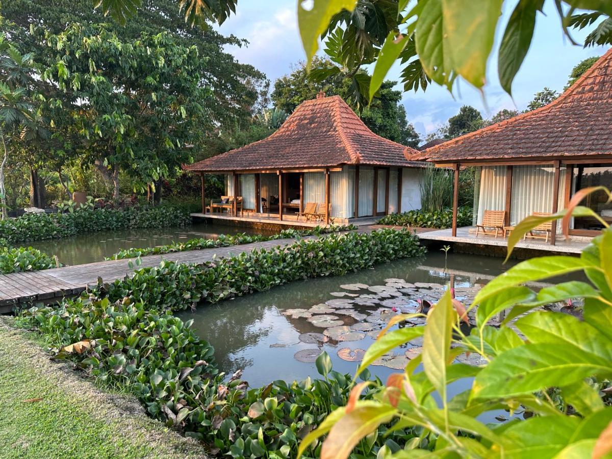 Griya Kcb Villa Убуд Экстерьер фото
